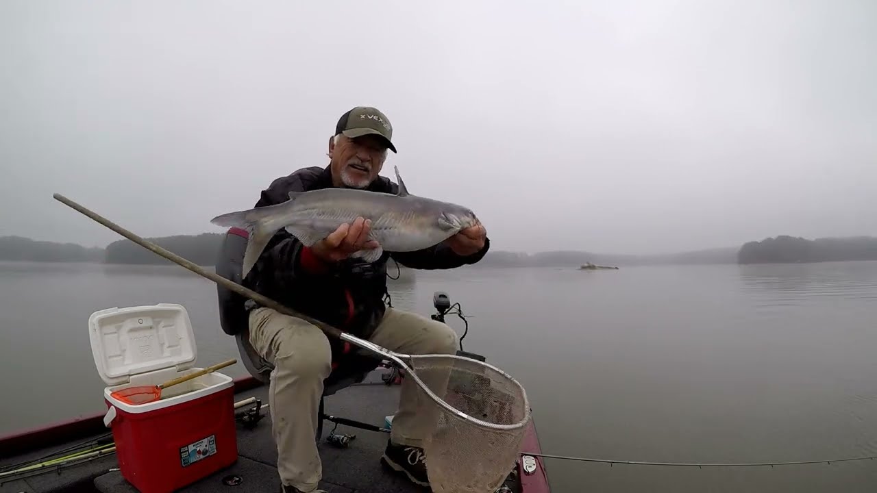 Catfish & Crappie Using Live Scope