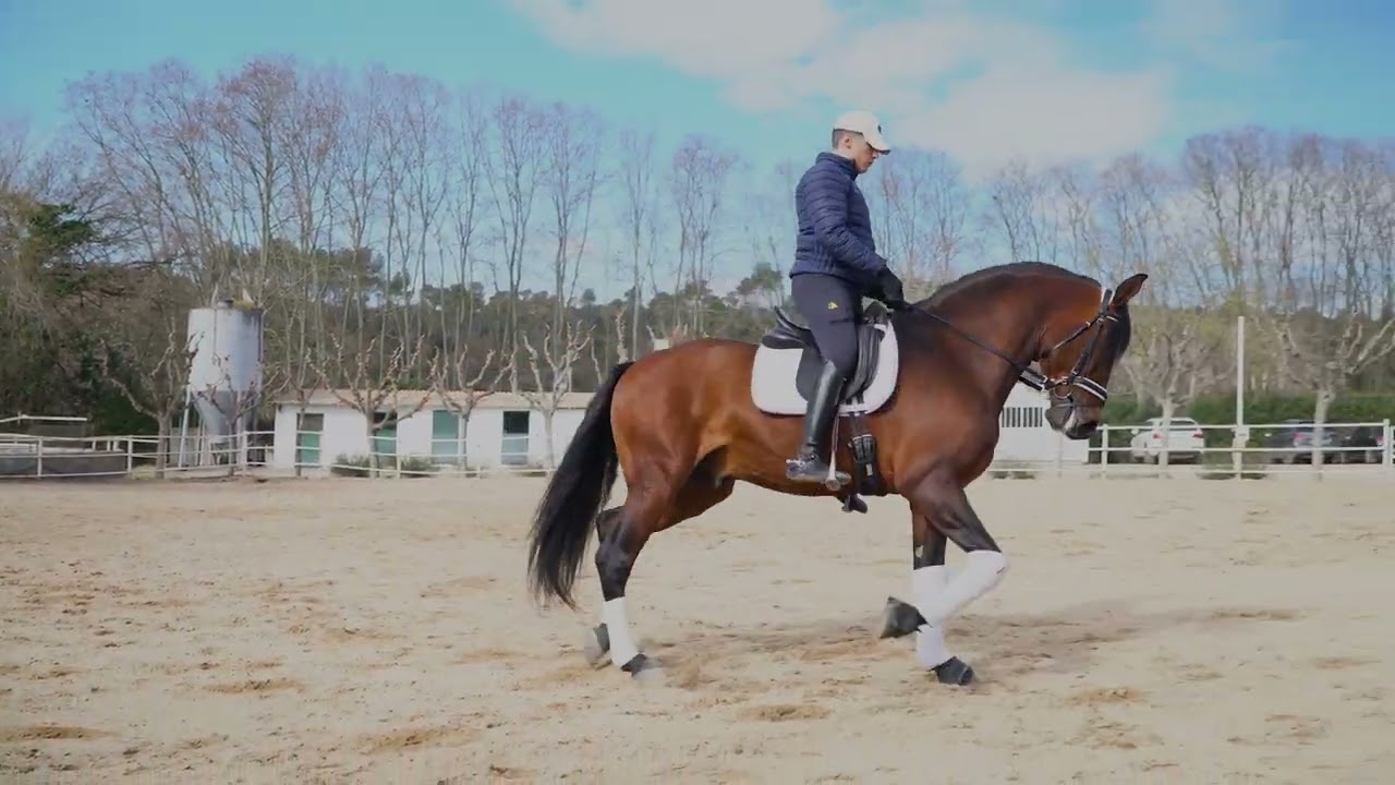Caballos Camp Rodó: USURERO