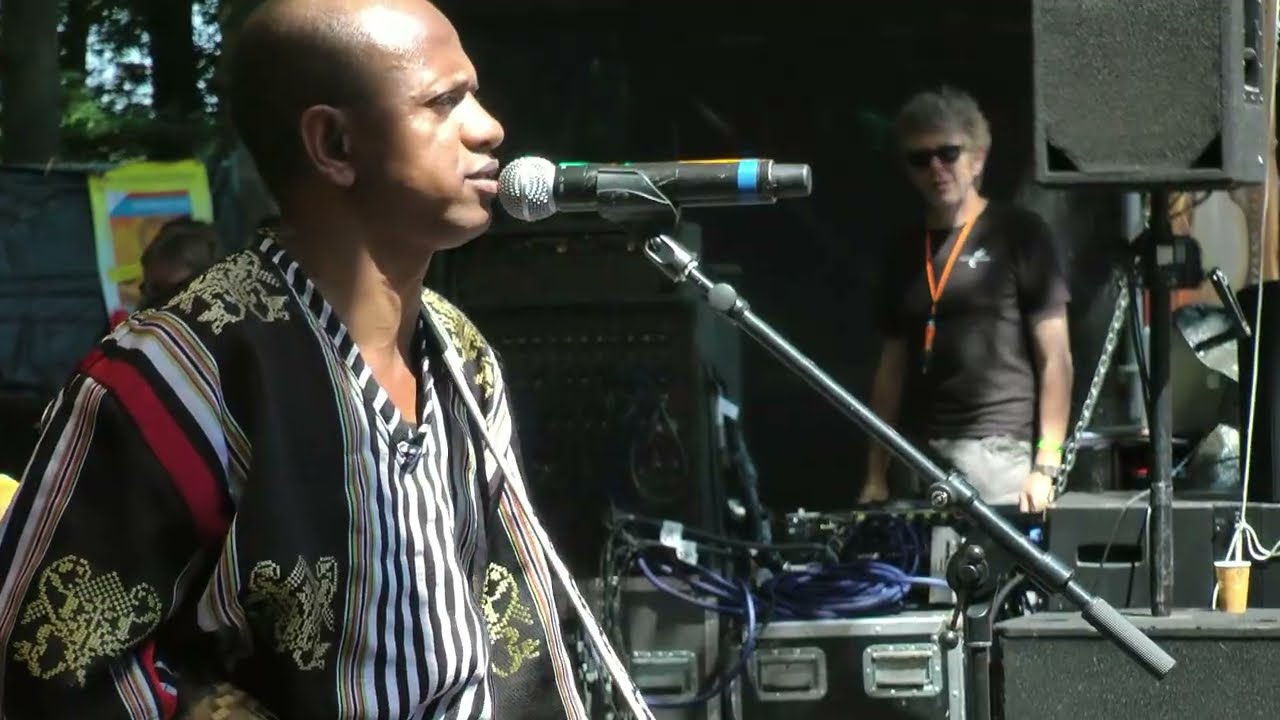 Rajery - Tandremo - Live at Afrika Festival Hertme 2013