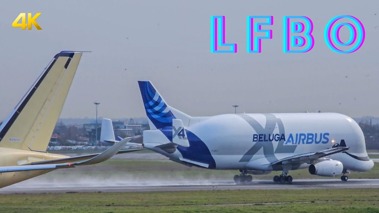 Take-Off Session : A350-1000 Air Caraïbes & BELUGA XL4 