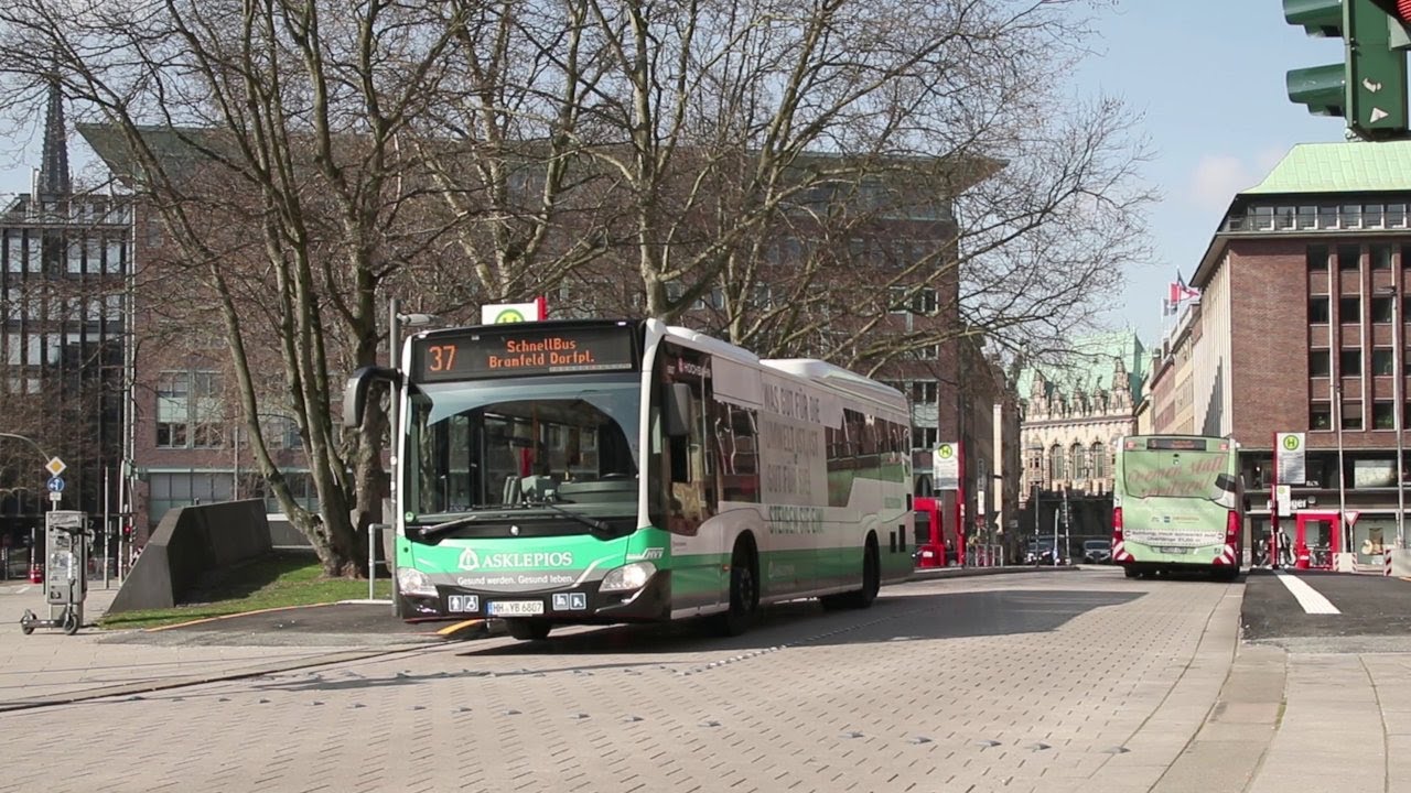 Busse in der Steinstraße