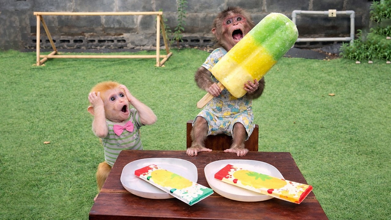 Too Cute to Handle! Monkey Kyo & BuNa’s Sweet Summer Ice Cream Moment 💕