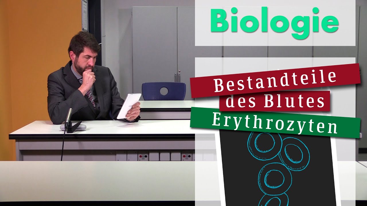 Biologie: Erythrozyten (Bestandteile des Blutes)