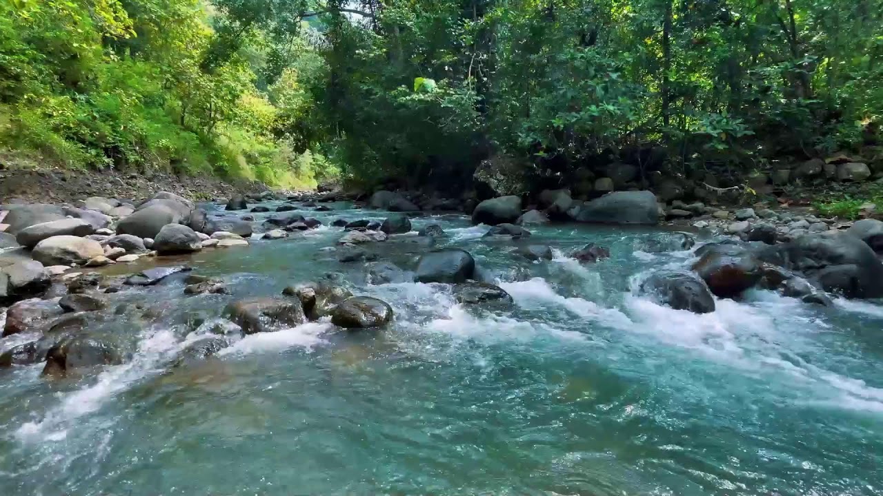 Relaxing River Sounds for Focus, Studying & A Peaceful Home 🌿 Relaxing Sleep Calming Anxiety