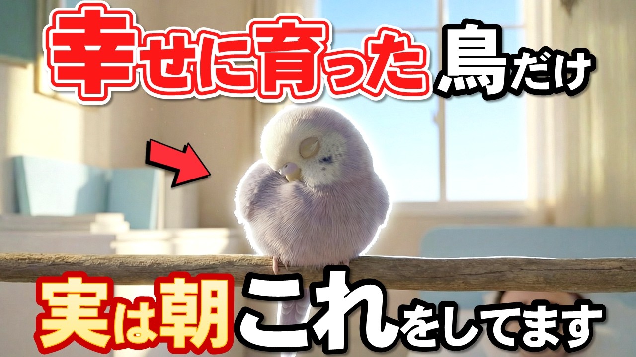 朝これをしてたら愛されてる証拠。幸せな鳥が見せる仕草３選【インコのきもち】