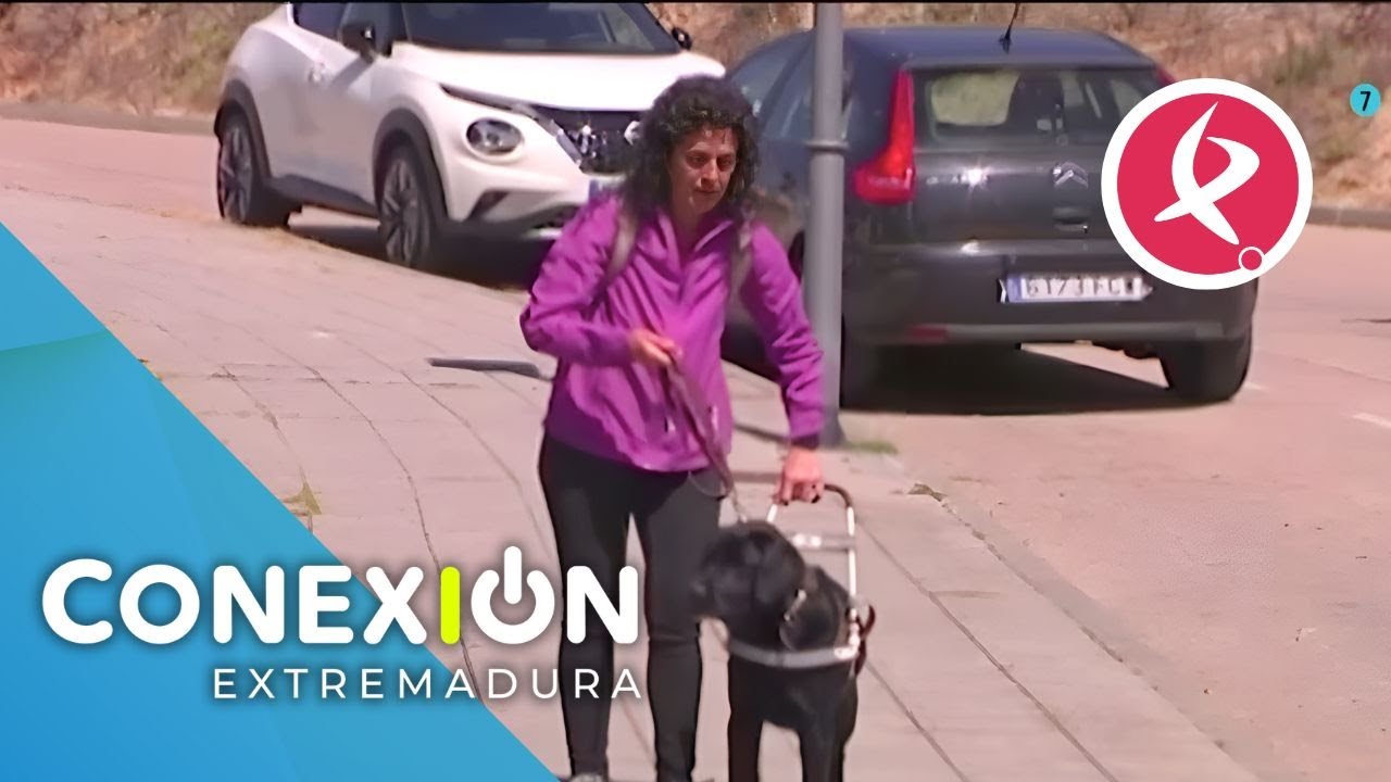 Zoltan, el único perro guía de Coria | Conexión Extremadura