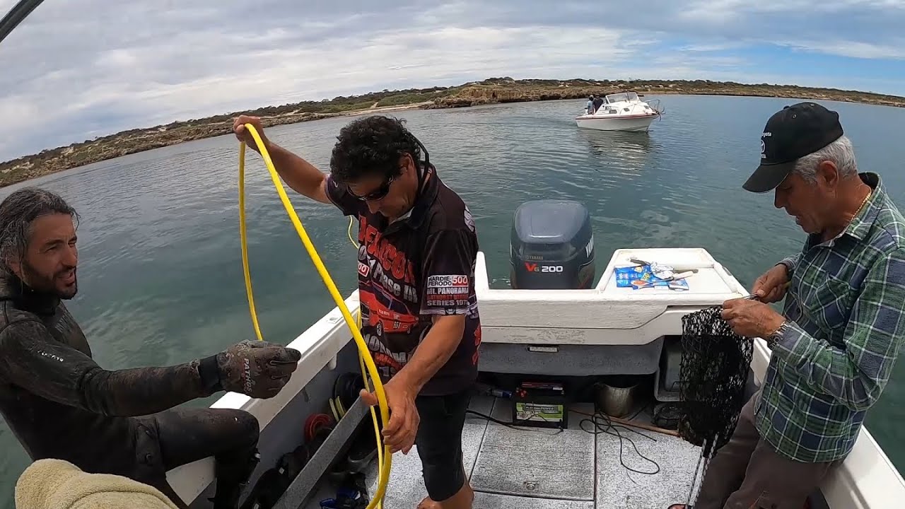 Shallow Diving in CEDUNA, South Australia 🇦🇺