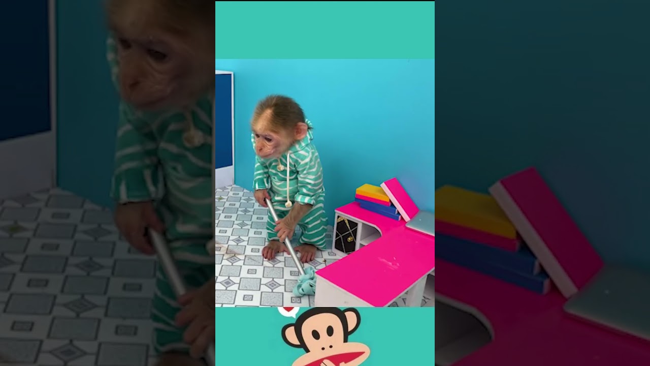 Monkey joyfully playing and cleaning the house.