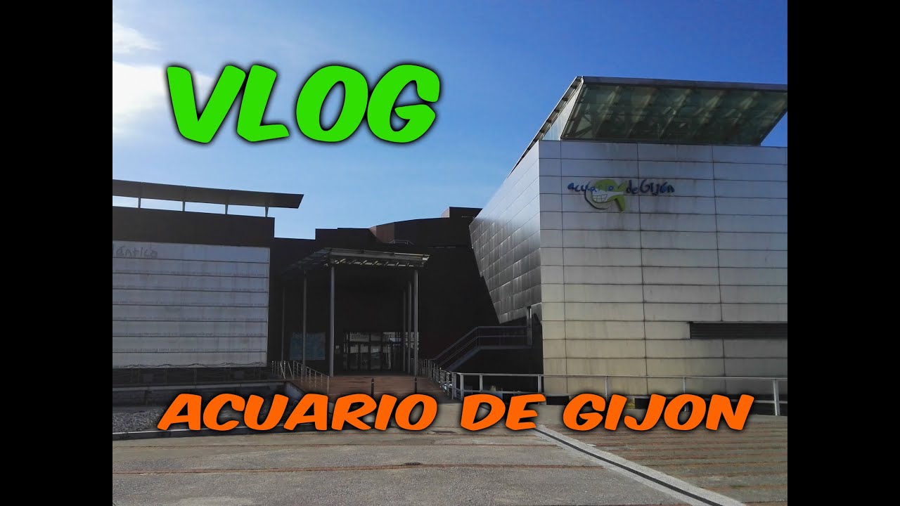 Visita al acuario de Gijón //REEF TIME
