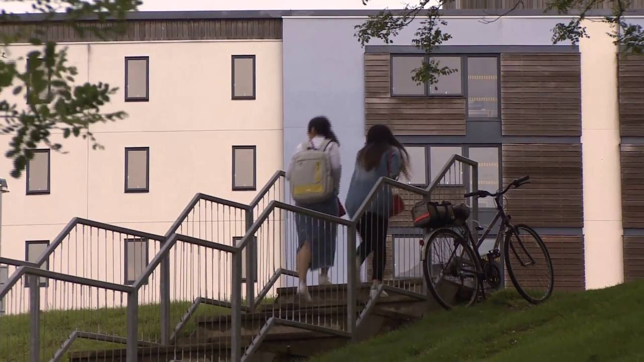 University of East Anglia Case Study – False Alarms Reduced to Zero with Nittan EV-DP Smoke Detector