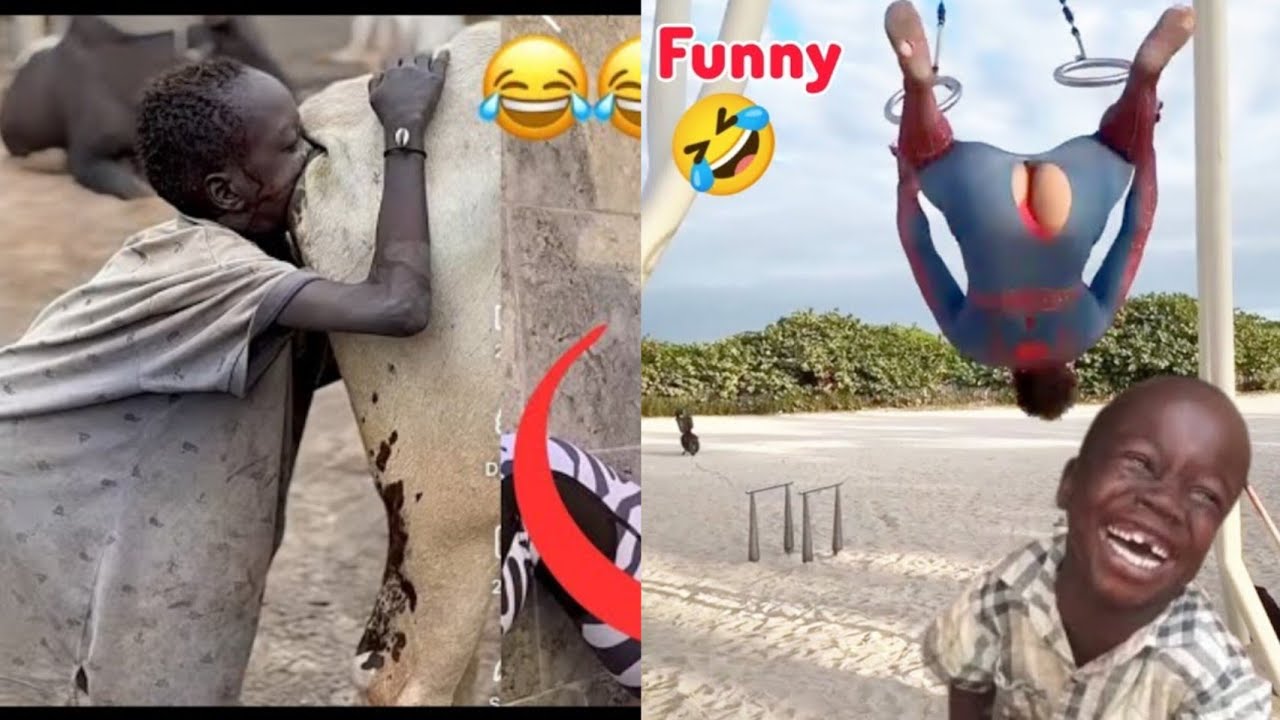 CRAZY Funny Videos | Try Not To Laugh Chanllange // Hilarious videos