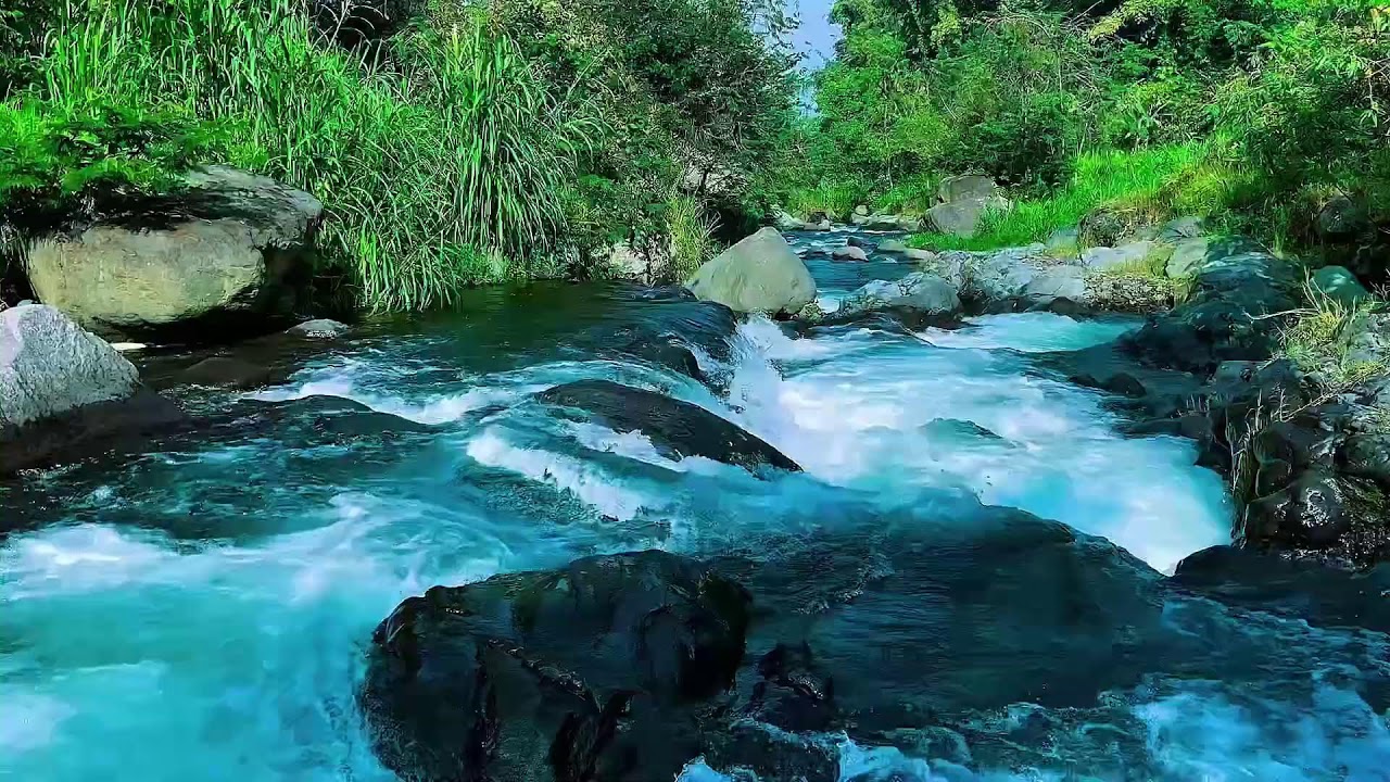 Forest River Water Flow Ambience, Mountain Stream, Sleep