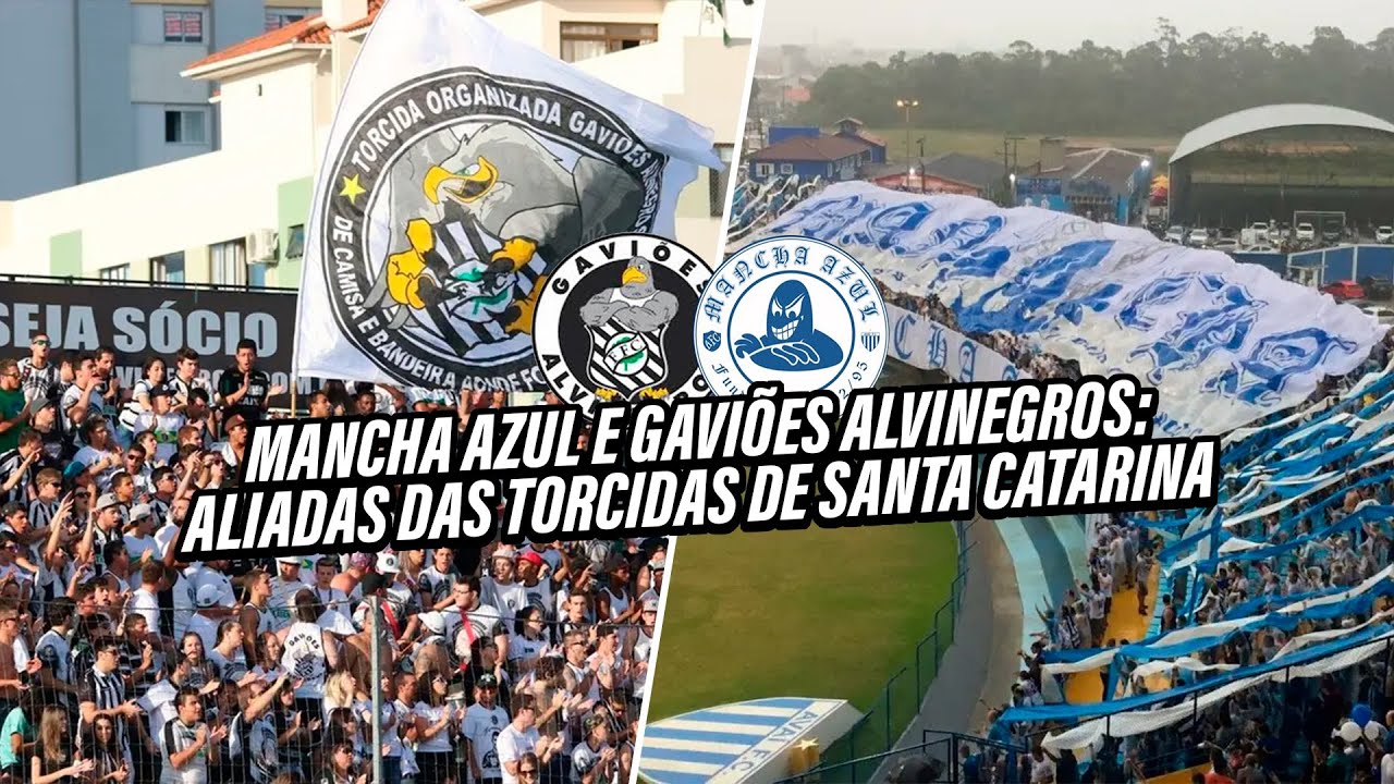 TORCIDAS ORGANIZADAS DE AVAI E FIGUEIRENSE E SUAS ALIADAS