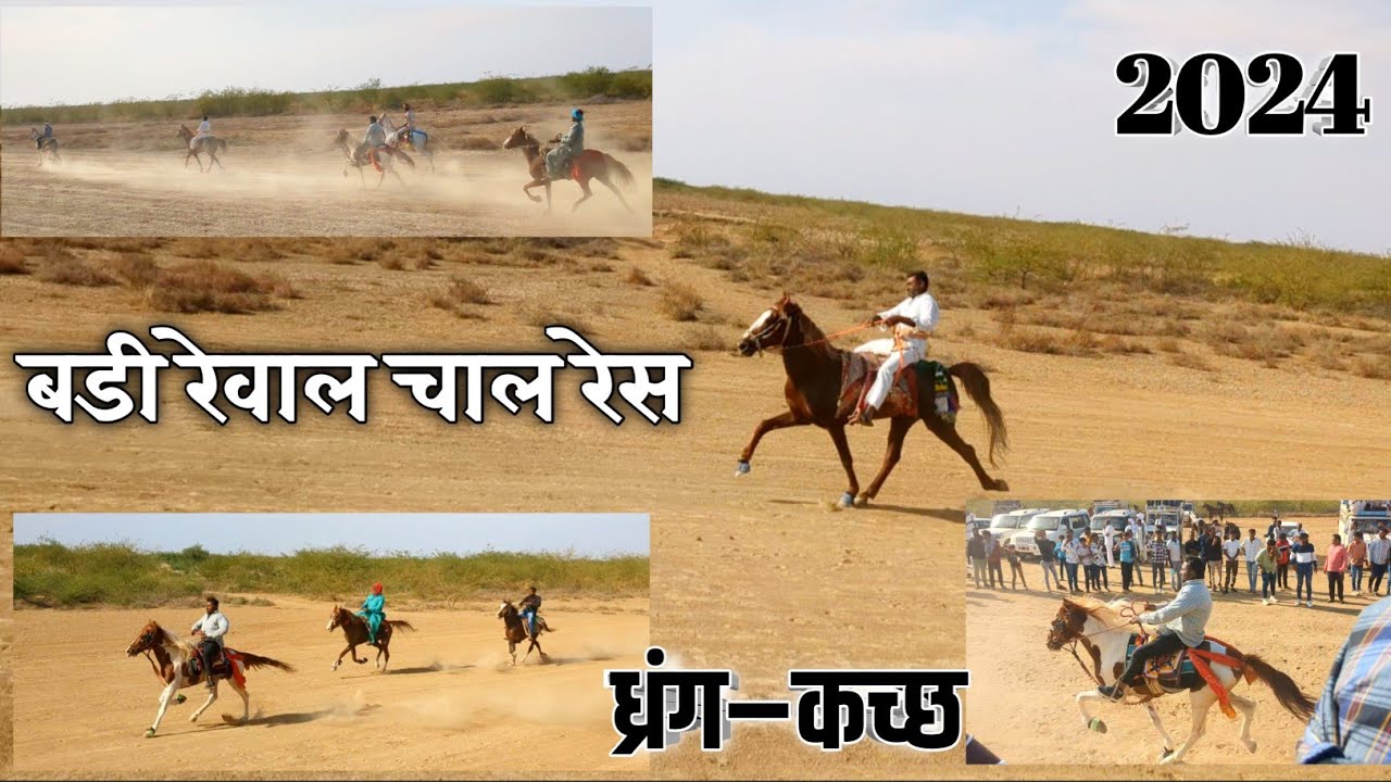 ध्रंग–बडी रेवाल चाल रेस | लाकड़िया के चेतक ने मारी बाजी | श्री मेकरण दादा मेला समिति आयोजित|9/3/2024
