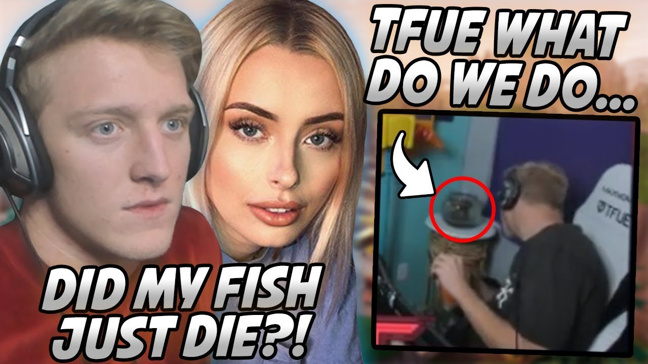 Tfue & Corinna FREAK OUT After They FORGOT To Feed His Pet Fish & It DIED In Front Of Them...