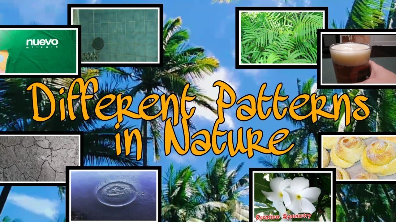 Different patterns in Nature