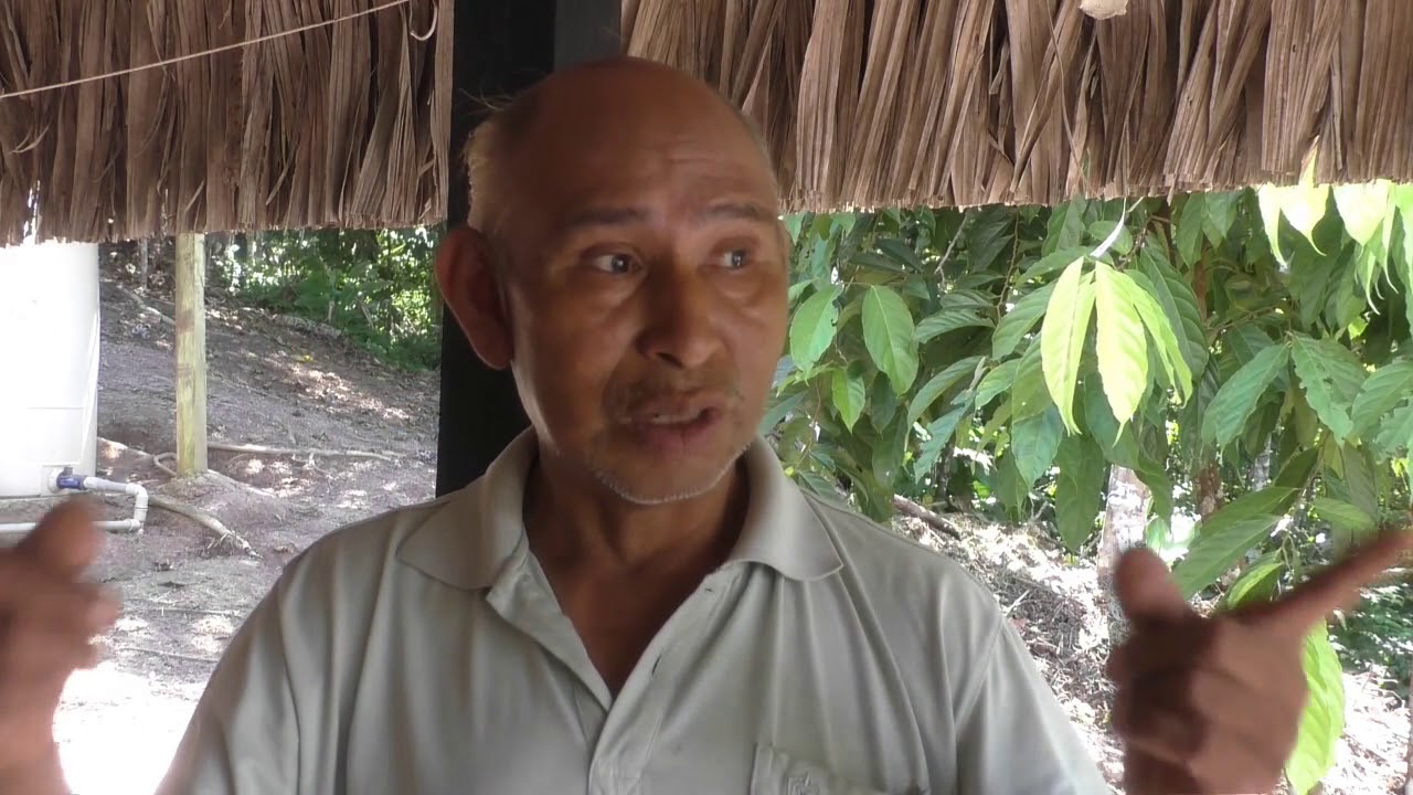 The Call to Ayahuasca