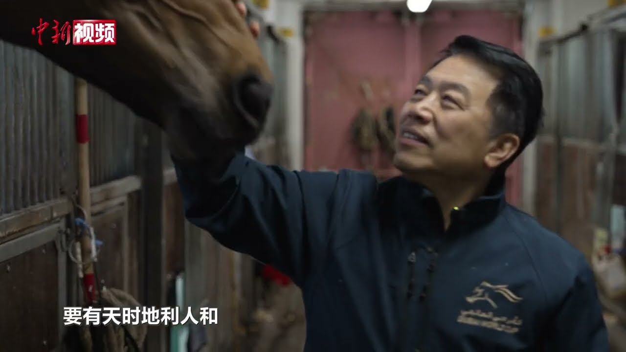 与马相伴五十载！香港练马师姚本辉与赛驹的“双向奔赴”