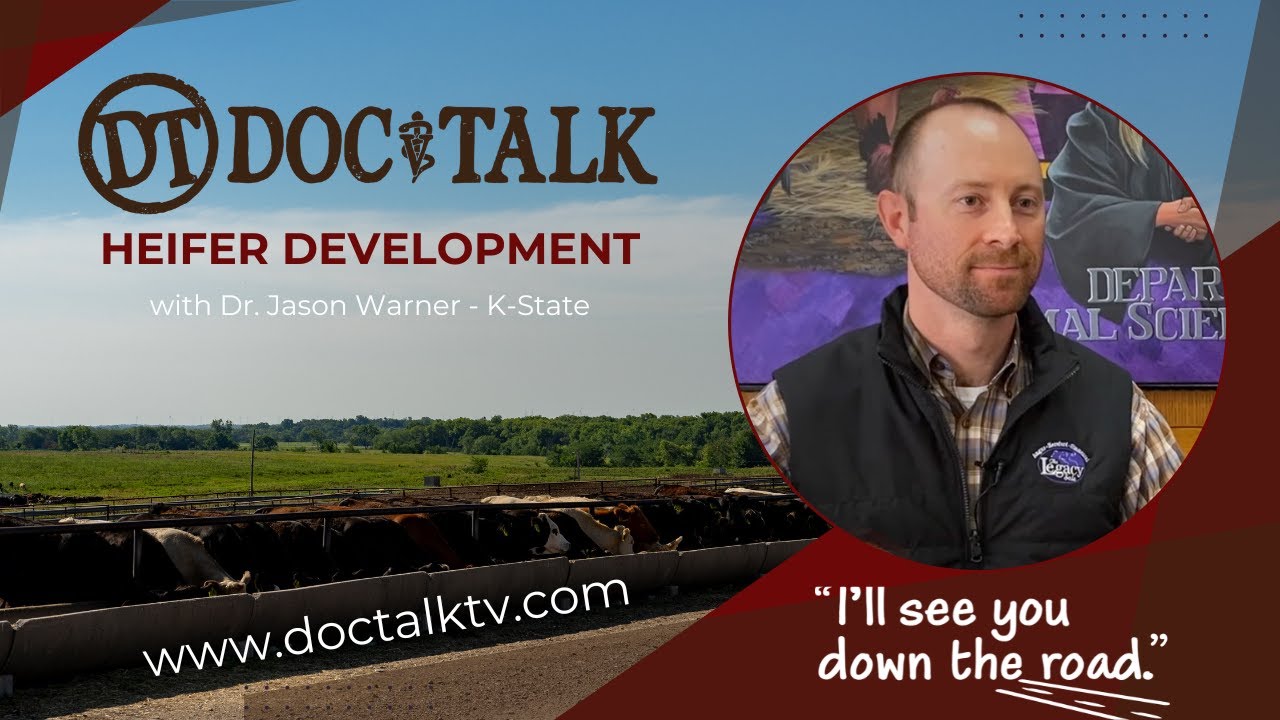 DocTalk Ep 602 - Navigating Heifer Development with Dr. Jason Warner