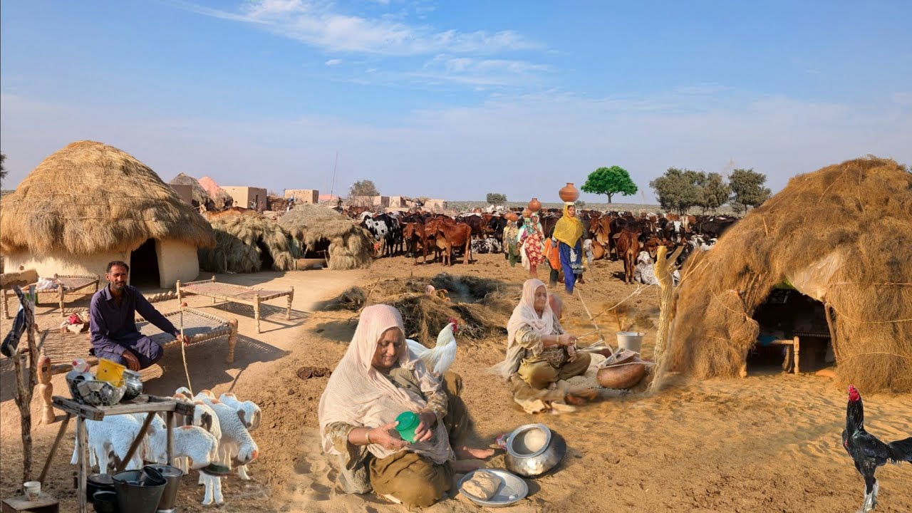 desert old Women Morning Routine Punjab  |Village Life Pakistan |Traditional Desert VillageFood