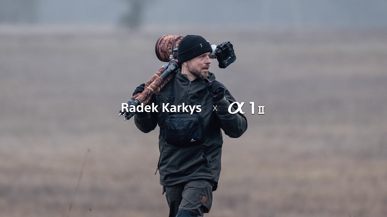 NEJLEPŠÍ FOŤÁK NA FOCENÍ ZVÍŘAT? Za mě je to Sony A1 II