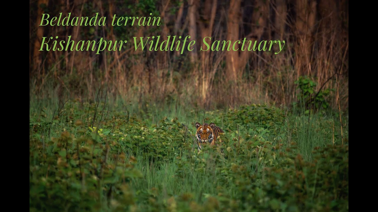 Explore Kishanpur WLS with me