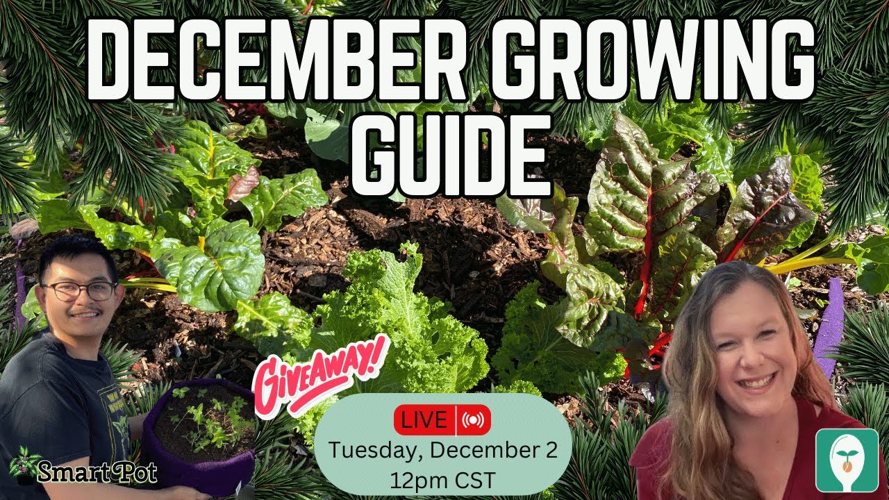 December Garden Guide: What to Plant This Month Indoors & Outdoors!