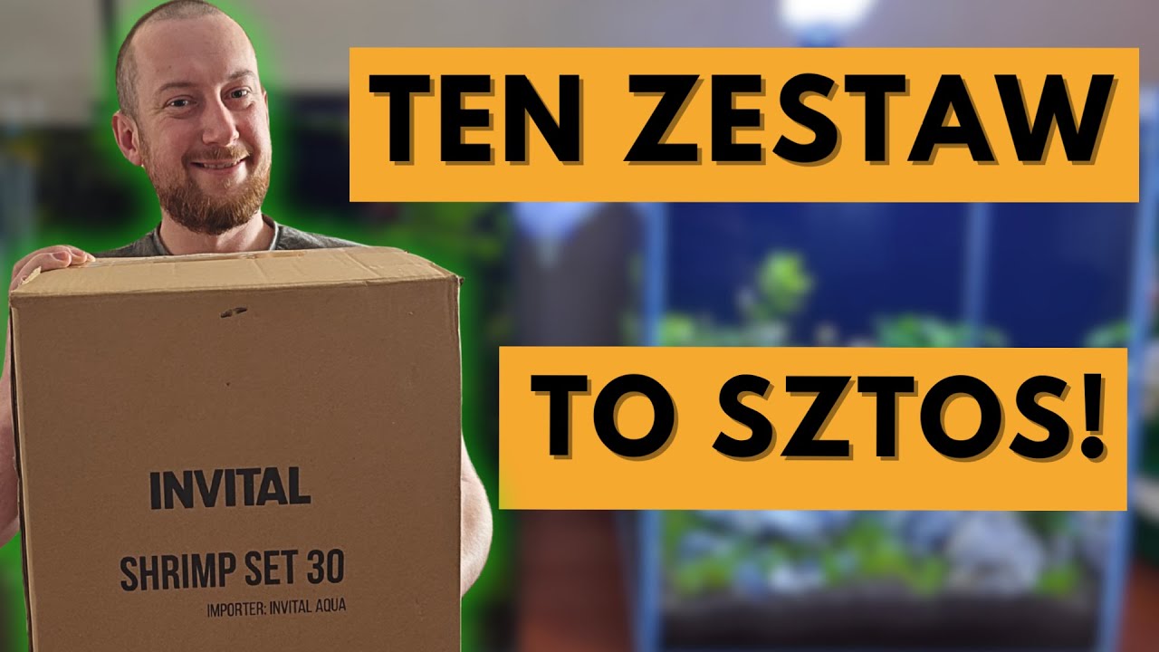 Jak założyć akwarium 30L? Invital Shrimpset 30 opinia