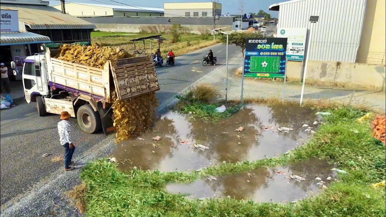 Perfectly Started New Project! Dumptruck Loading Soil In Box House, Skillful Dozer D20 Pushing Soil 