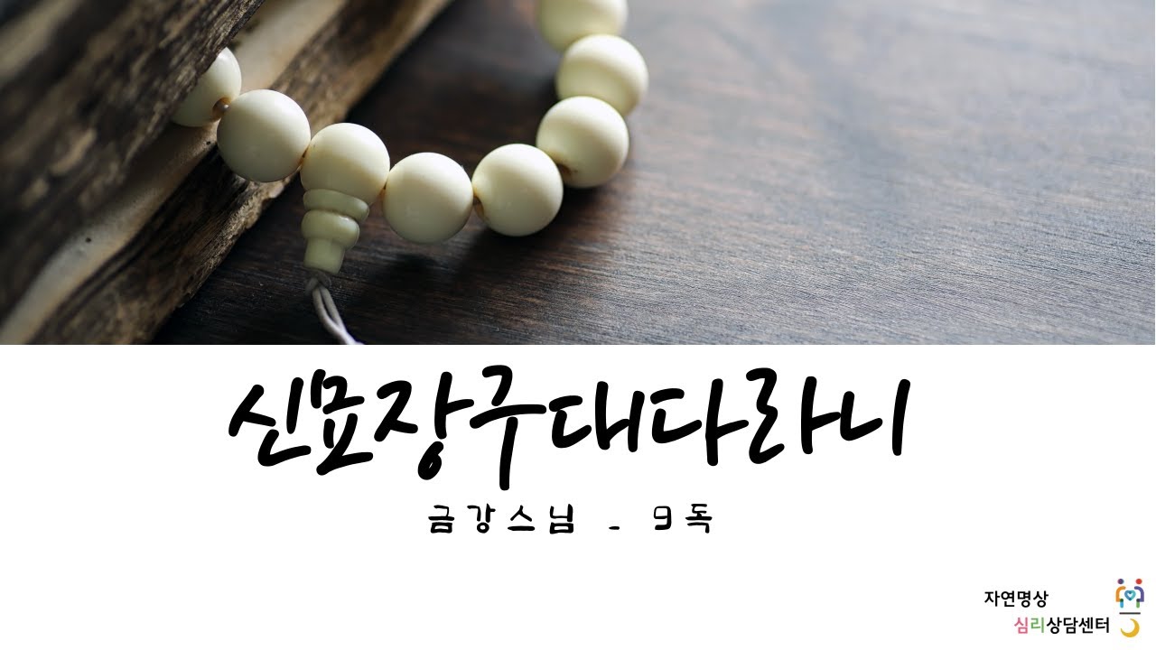 [불교기도] 신묘장구대다라니 9독_금강스님