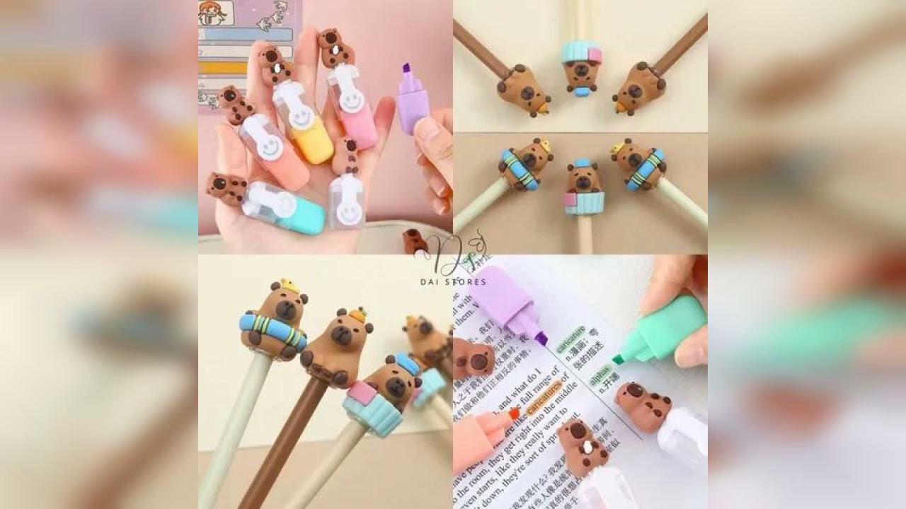 Review: Kit Capivara Completo Caderno Caneta Adesivos Lápis Borracha