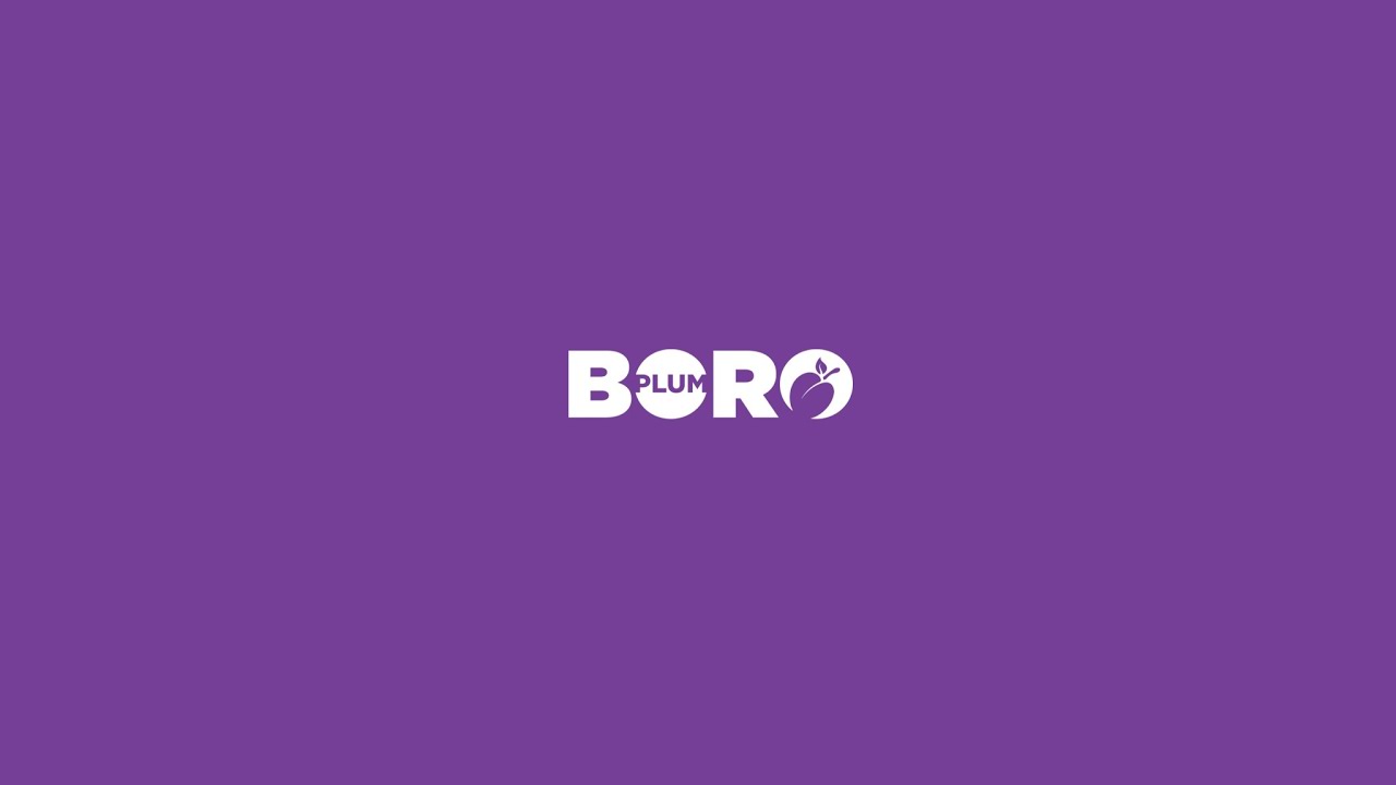 Plum Boro Council Work Session Meeting - March 2026