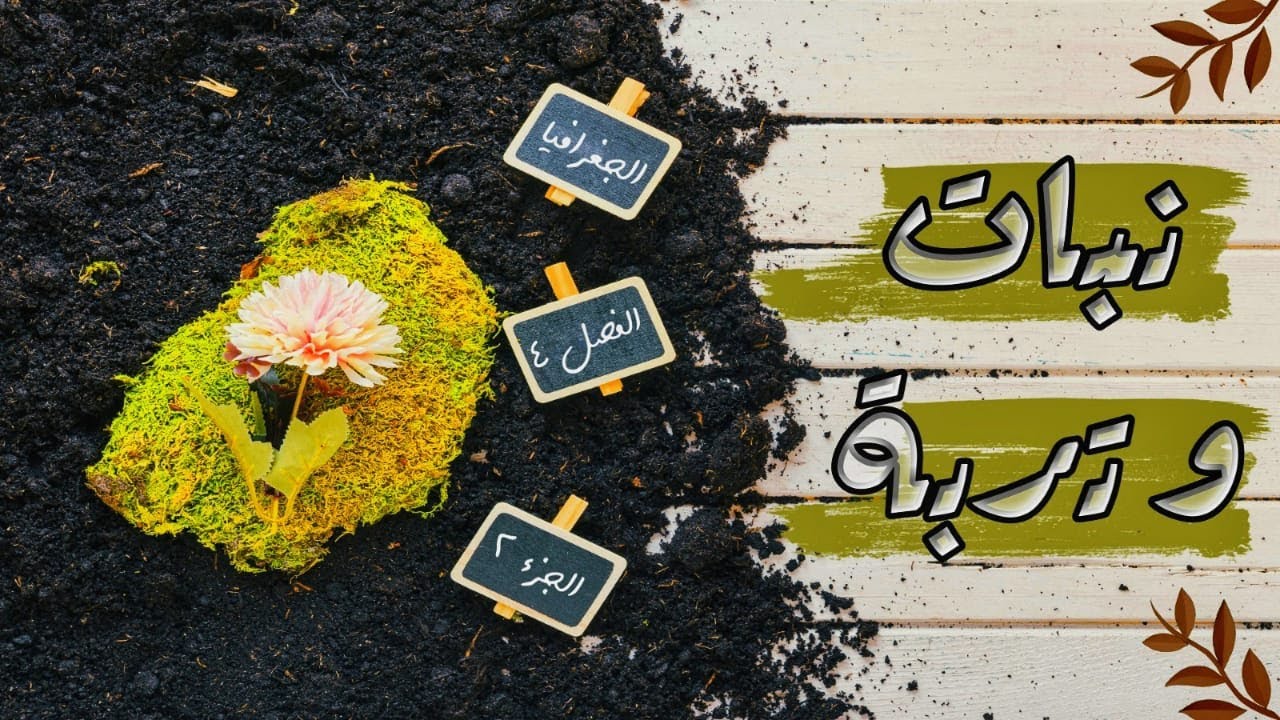 نبات و تربة : الجزء الثاني/العوامل الرئيسية لتكوين التربة