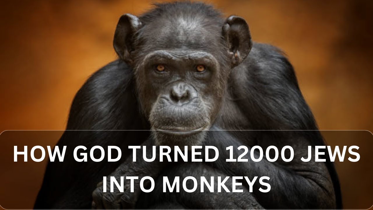 How God Turned 12000 Jews into Monkeys|Why did the people of Prophet Dawood (David) become monkeys