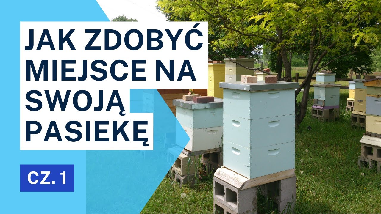 Jak zdobyć miejsce na swoją pasiekę ? cz. I
