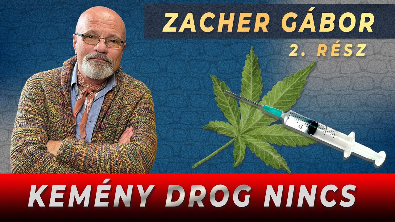 Zacher Gábor: Kemény drog nincs | Mutasd Magad!