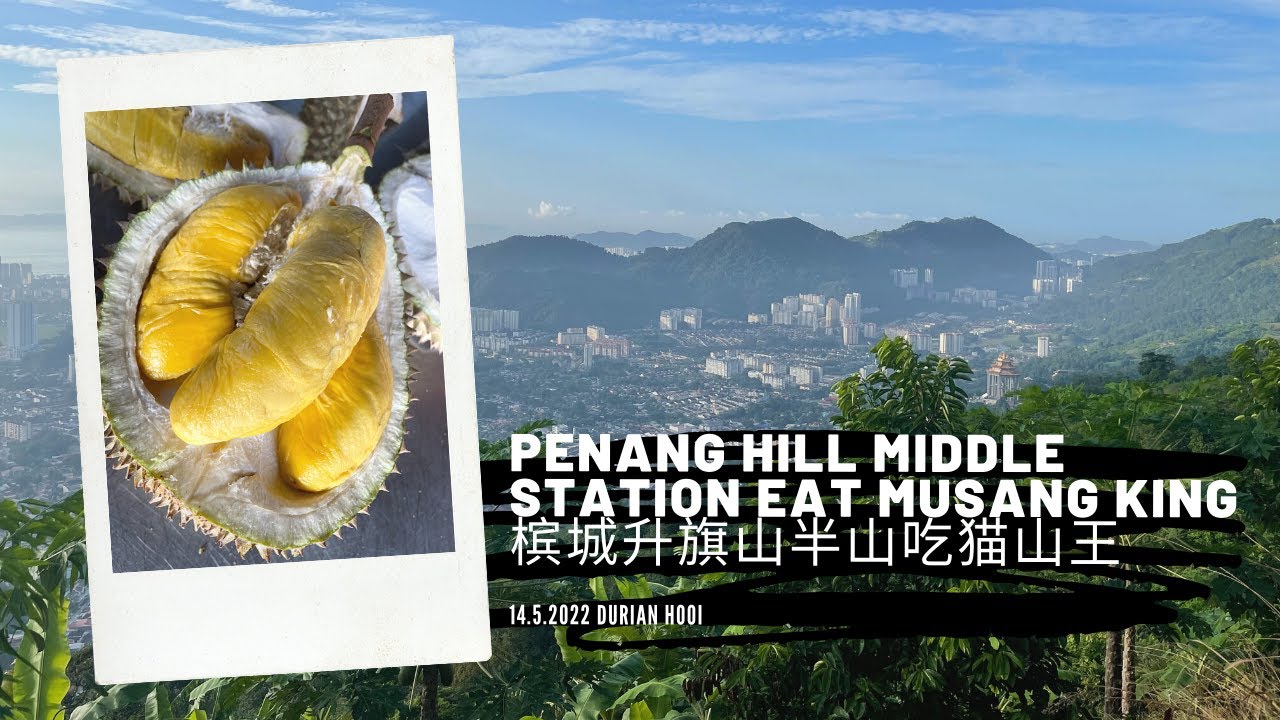 Durian Hooi: Penang Hill Middle Station Eat Musang King 槟城升旗山半山吃猫山王 (Ep.108)