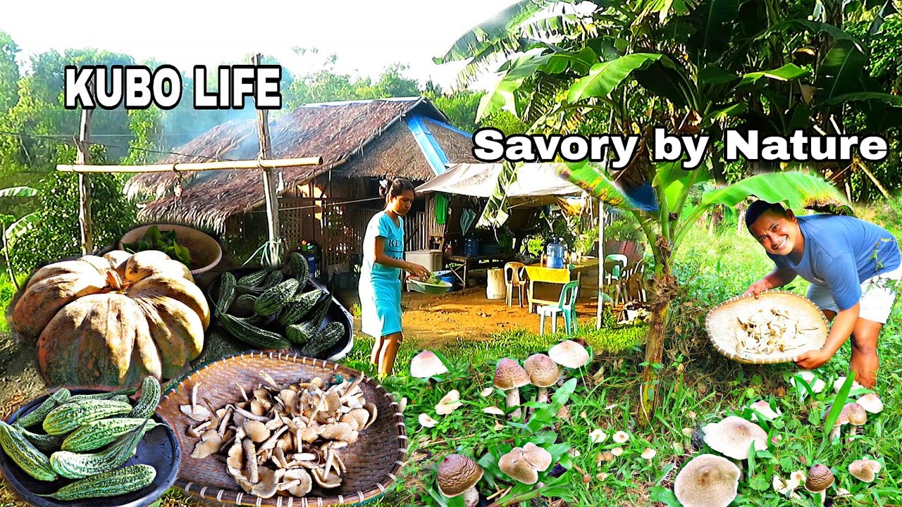 KUBO LIFE: Storm's Bounty & Savory Dishes Abound