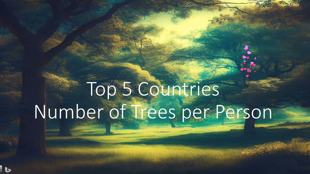Top 5 Countries   Number of Trees per Person