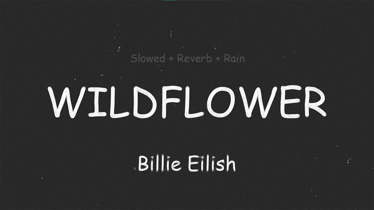 WILDFLOWER - Billie Eilish (Slowed + Reverb + Rain)