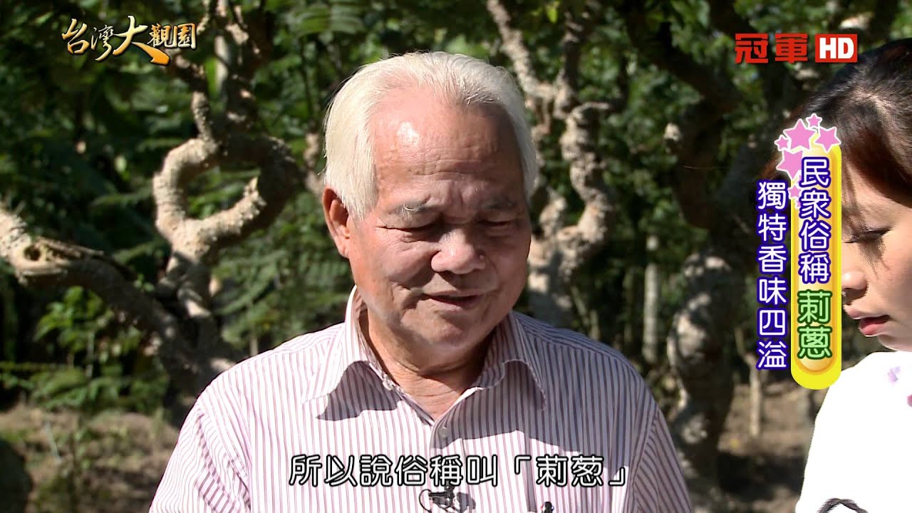 《台灣大觀園》埔里鳥不踏 3/4