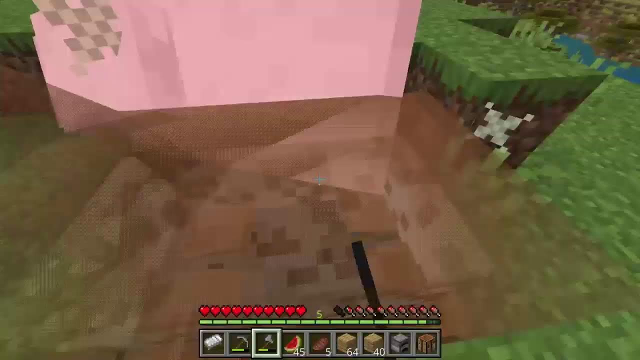 マイクラ