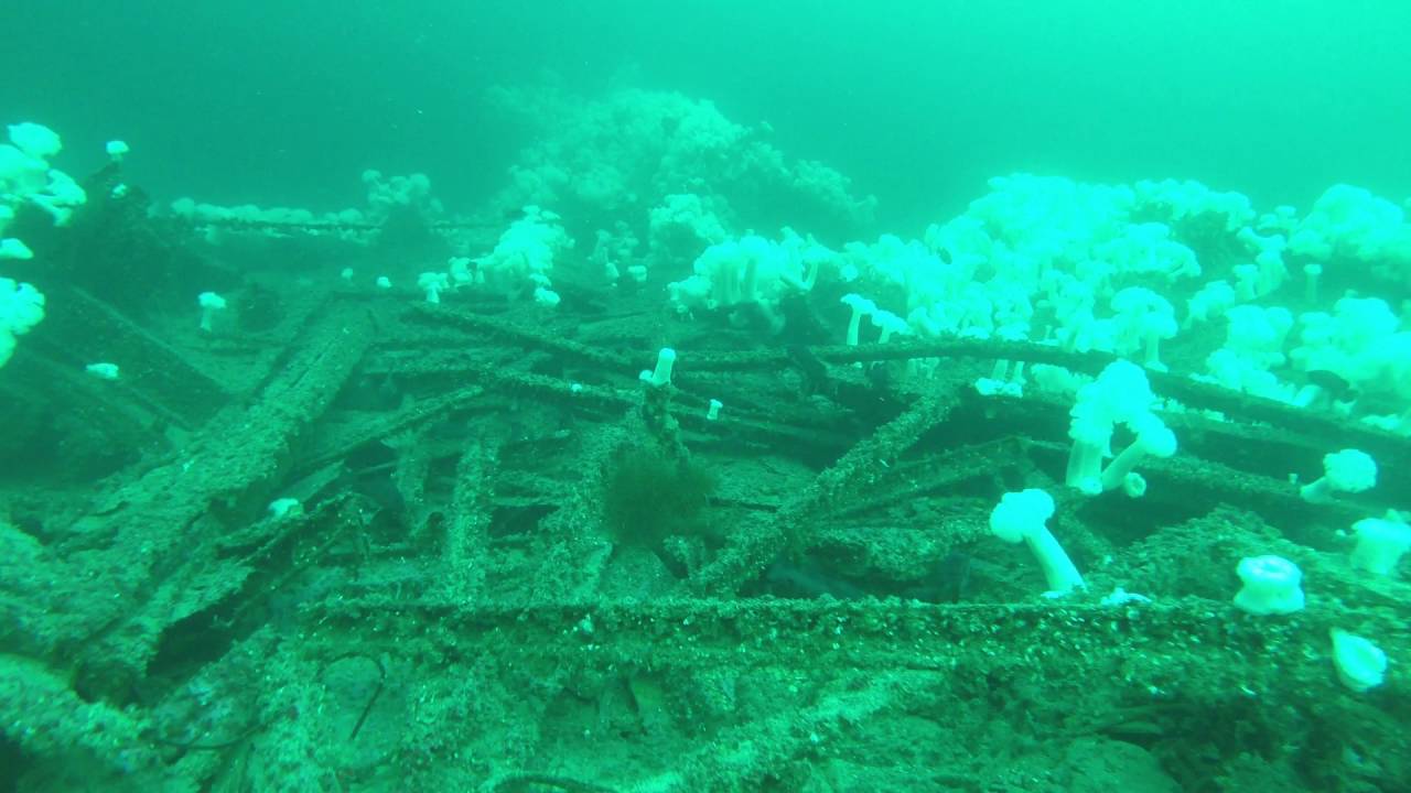 2016-05-15 Princess Sophia Wreck Dive