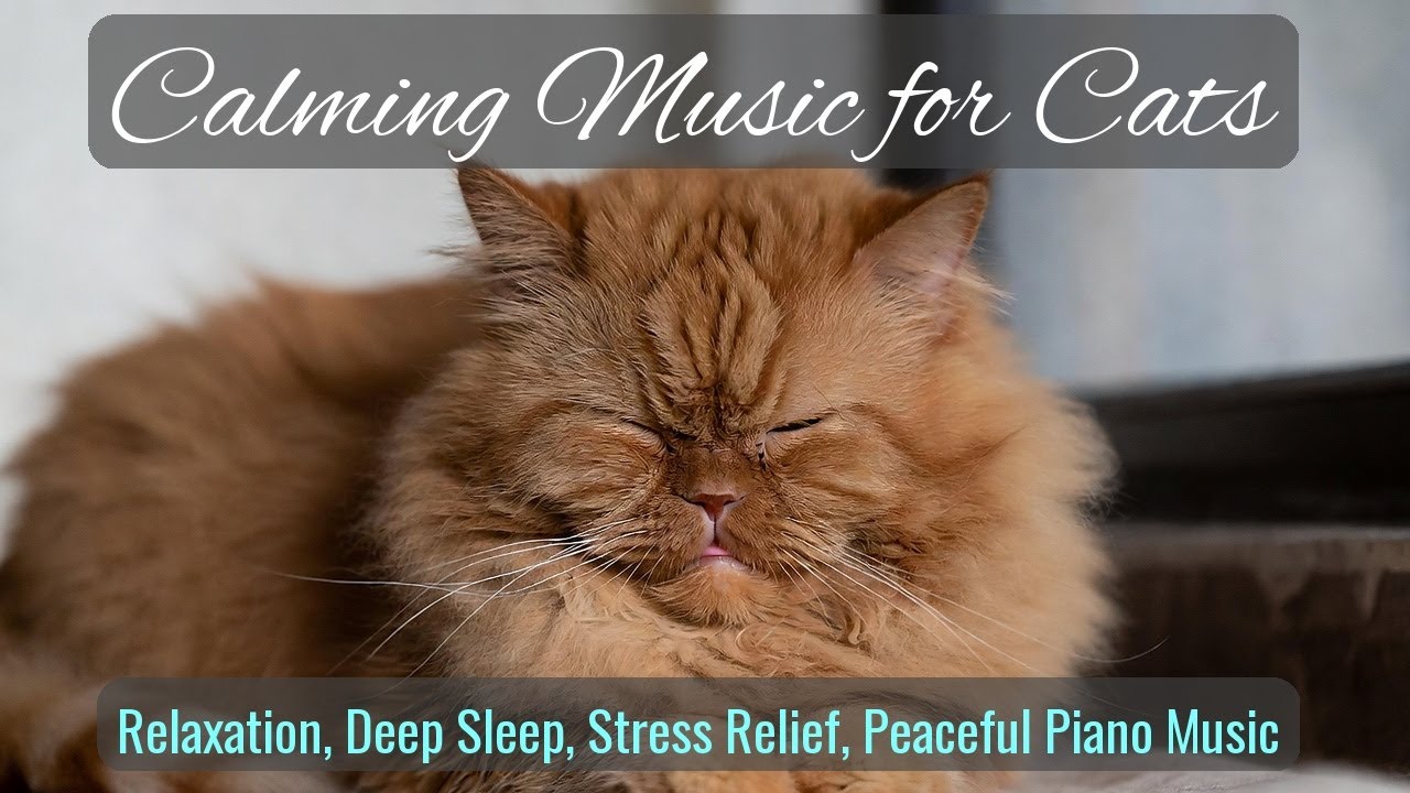 Calming Music for Cats - Relaxation, Deep Sleep, Stress Relief, Peaceful Piano Music | Season 28