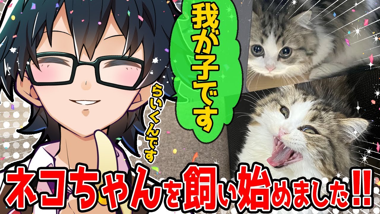 ついに念願の猫「らいくん」をお迎えしたおんりーﾁｬﾝ✨猫アレルギーは？名前の由来は？何故今発表？気になる質問に少し答えてくれました！【ドズル社/切り抜き】【おんりー】