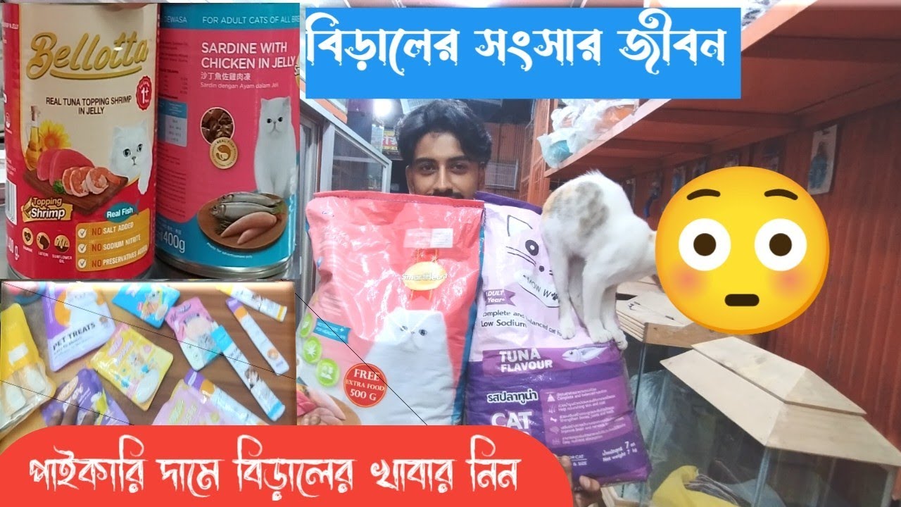 “আপনার বিড়ালের জন্য সেরা খাবার 🐈 | কম দামে ক্যাট ফুড কালেকশন” #catshorts #catfood #cat #catfood