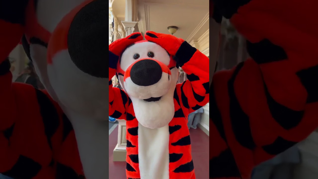 ティガーの神ファンサ #ディズニー #ディズニーランド #disney #キャラグリ#ティガー