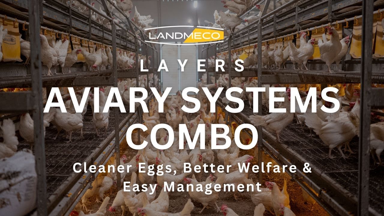 LANDMECO Combo Poultry Aviary System | Cleaner Eggs, Better Welfare & Easy Management