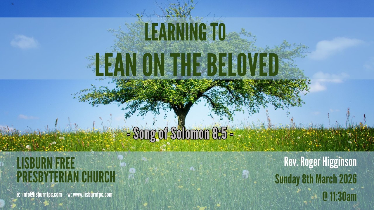Learning to Lean on the Beloved