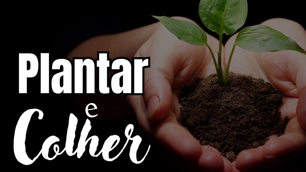 TEMPO DE PLANTAR (FALANDO UM POUCO) LUÍS ALAPONT 